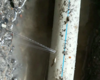 武平卫生间测漏水多少钱